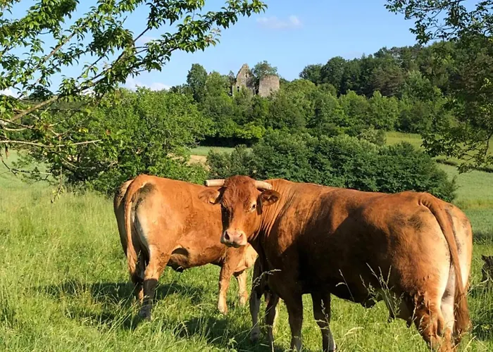 Vakantiehuis Le De Marie *